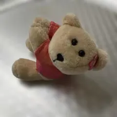 STARBUCKS ぬいぐるみ　手にマグネット