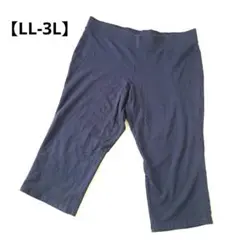 TALBOTS ストレッチパンツ 【1X(LL-3L相当)】ハーフパンツ