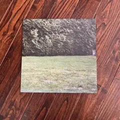 ミツメ/Ghosts アナログレコード （未再生） 815zFMmhxeL._SY200_QL15_.jpg