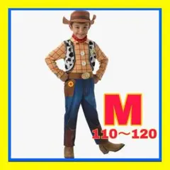 Item thumbnail for item 635b3795-0e28-4ba0-9b14-8d5c41c94a90