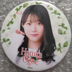 Item thumbnail for item e3142571-40c1-4752-80f4-468a5fb27217