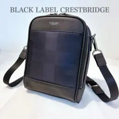 Item thumbnail for item 345eca0c-b074-48b6-abb9-65c19cb1655c