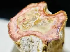 マダガスカル産 珪化木