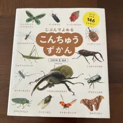 こんちゅうずかん