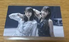 日プ ファンブック 特典 山本すず 石井蘭 トレカ HMV特典