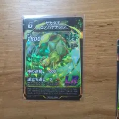 サカダチコノハナナフシ ＬＲ