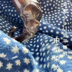 Item thumbnail for item a39c51e6-5b27-41aa-8176-6289a1aae632