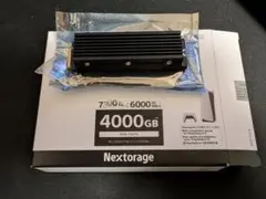 NEXTORAGE 4TB M.2 SSD