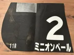 Item thumbnail for item 2fb0a343-233b-48b1-92f5-a860d1e61d30