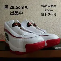 THE ANSWER DMX　28cm