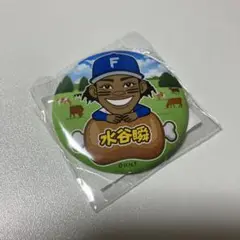 ファイターズ 北海道肉祭り 2025 缶バッチ 水谷瞬