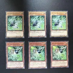 遊戯王 PSYフレームドライバー PSYフレームギアγ d