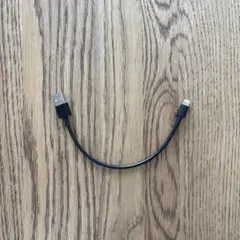Beats by Dr.Dre 付属USBケーブル　Lightning