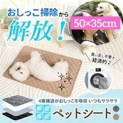 Item thumbnail for item 69312b0a-7d13-446a-b5a2-9d030630fd86