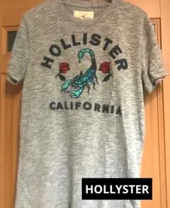 HOLLYSTER スコーピオン刺繍 ロゴアップリケTシャツ S ユニセックス