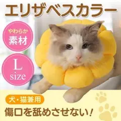 Item thumbnail for item 0d521836-93ad-4e8a-a192-941ae7076c45