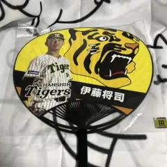 阪神タイガース　選手うちわ　伊藤将司