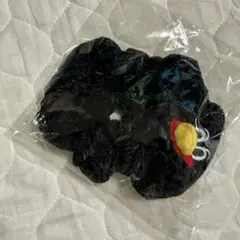 つば九郎　パイルシュシュ（未開封）