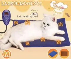 Item thumbnail for item a27de882-1fa9-4172-84d4-ab2c33d5540d