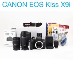 Item thumbnail for item 0fa4ac79-306e-41a8-ae16-d42913338c60
