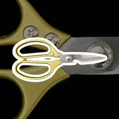 Item thumbnail for item 6dfcdef5-d9e0-40d3-881f-b2031a88f84c