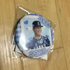 埼玉西武ライオンズ 渡邉勇太朗 投手