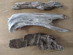 Item thumbnail for item 01e39e8f-4083-49a0-b8e3-467c7234b25b