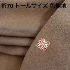 着物 裄70 トールサイズ 色無地 正絹 一つ紋 素敵な色味 U-7851