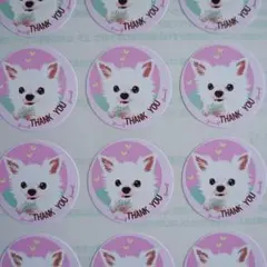 チワワ⭐THANK YOUシール♥1シート48枚