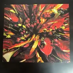 REBOOT / #002 MIXED BY DJ MAYURI