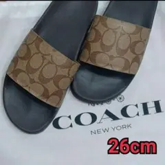 Item thumbnail for item 6fba2c25-c0ce-486f-b84d-a31f161d3615