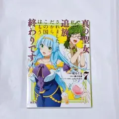 真の聖女である私は追放されました。だからこの国はもう終わりです 7