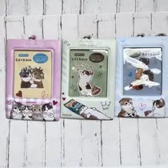 セリア mofusand モフサンド クリアカードケース ３個セット