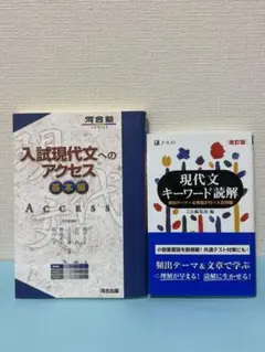 【お値下げ】現代文 大学入試 参考書 ２冊セット