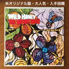 ビーチボーイズ Beach Boys【USオリジナル盤・大人気・超稀少】⑩