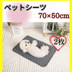 Item thumbnail for item ca92fb77-789b-4aaf-bea4-00a2b7d5978d