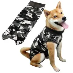 Item thumbnail for item 0c83a242-935a-48ae-a466-4e71e2d27439