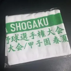 沖縄 SHOGAKU 野球タオル 2025 甲子園 沖縄尚学高校