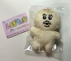 んぽちゃむ きみまろ かぷっこふれんず