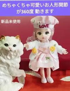 綺麗な顔のお人形、髪の毛はサラサラ子供の髪見たい手足首の関節360度回せます