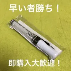 AMEFURASSHI ペンライト 2024年 中古品 ① 即購入大歓迎