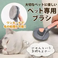 Item thumbnail for item d92331c2-8f81-41de-951d-c2ac30c45260