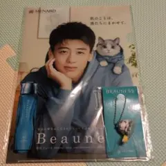 ビューネグッズ　ビューにゃんフィギュア とクリアファイル