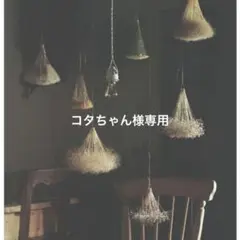 コタちゃん様専用です