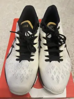 Item thumbnail for item ffeaf7ef-83d9-4d8e-ab29-b165dac0521f