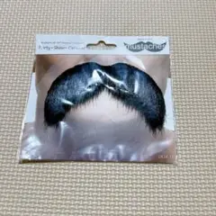 Party City 宴会の達人 バラエティグッズ 紳士なひげ 黒