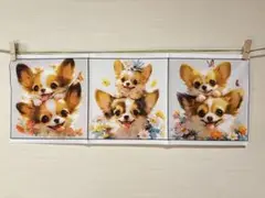 ♪ 限定レア パネル生地 仲良し チワワ 犬 3枚セット♪