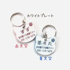 Item thumbnail for item 6ce50e54-9103-40e1-a25b-ac00470105d6