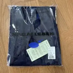 Item thumbnail for item 08d5a363-d496-45c0-bdf7-5c6f7e68b73a