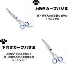 Item thumbnail for item 71bc4513-610e-419b-8d3d-111a27426a32